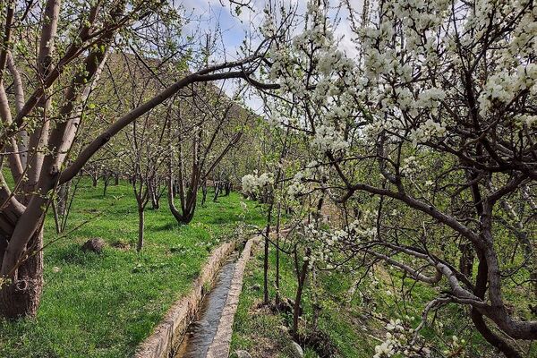 شهر بار نگین سبز خراسان رضوی میزبان فصل بهار 