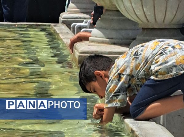 روز دحوالارض در حرم امام مهربانی‌ها