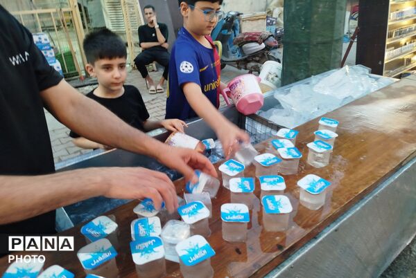 از حریمِ علی تا خلوتِ سامرا؛ عطرِ بهشت در عراق 