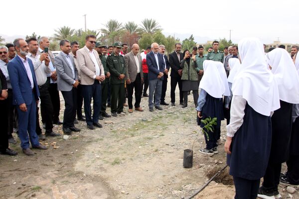 روز درختکاری در رودان