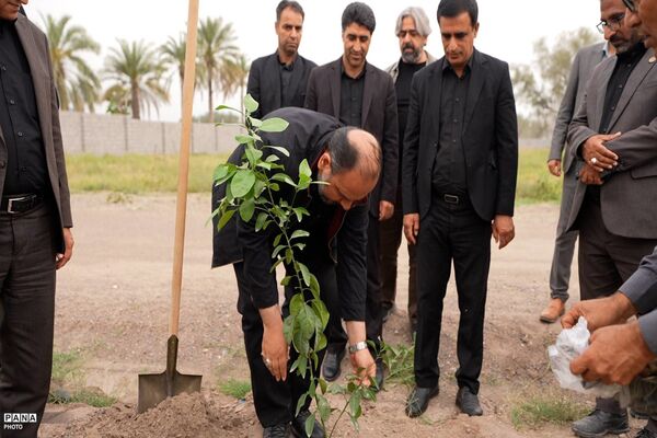 کاشت نهال نارنج به یاد دانش آموزان شهید مدرسه میناب