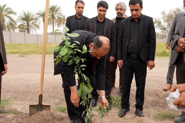 کاشت نهال نارنج به یاد دانش آموزان شهید مدرسه میناب