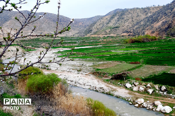 طبیعت روستای بیدله به هنگام بهار