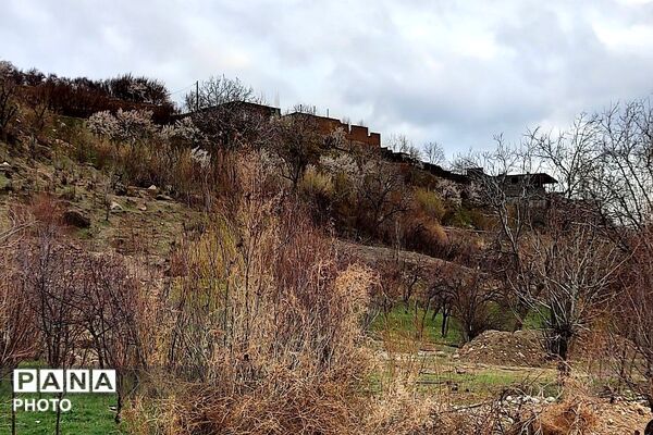  بارش باران در شهر بار 