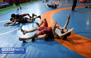 یزد میزبان اردوی تیم کشتی آزاد نونهالان