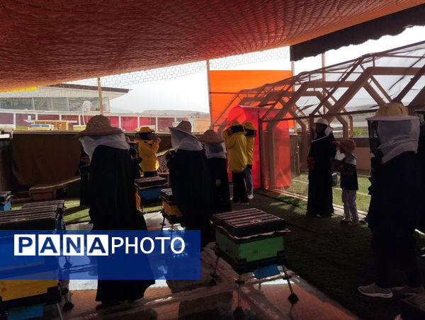 بازدید خبرنگاران پانا قم از مجموعه پرورش زنبور عسل 