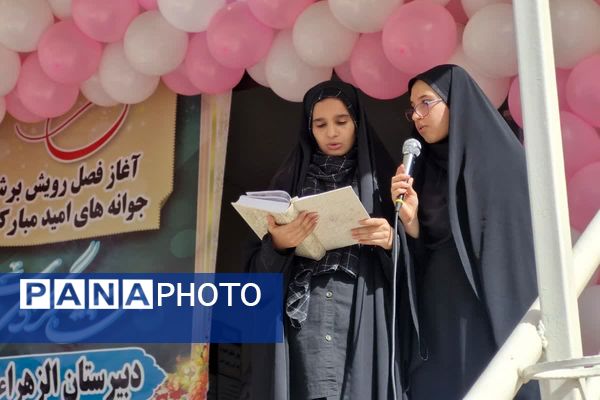 آغاز رویش نسل نو در جشن جوانه‌ها