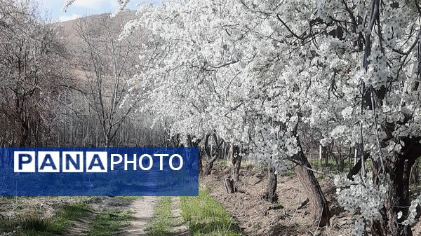دهکده زراس، بهشت گمشده خوزستان