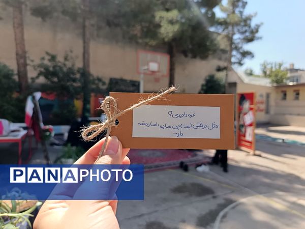 عزاداری شهادت حضرت رقیه سلام الله علیها