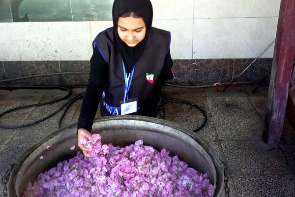 از گل محمدی تا داروهای گیاهی؛ جشنواره‌ای با عطر سلامتی در رباط‌کریم