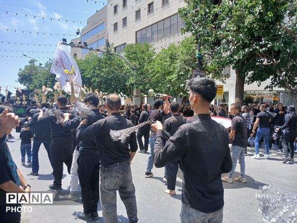 عاشورا؛ روایت دلدادگی در قاب اشک و ارادت 