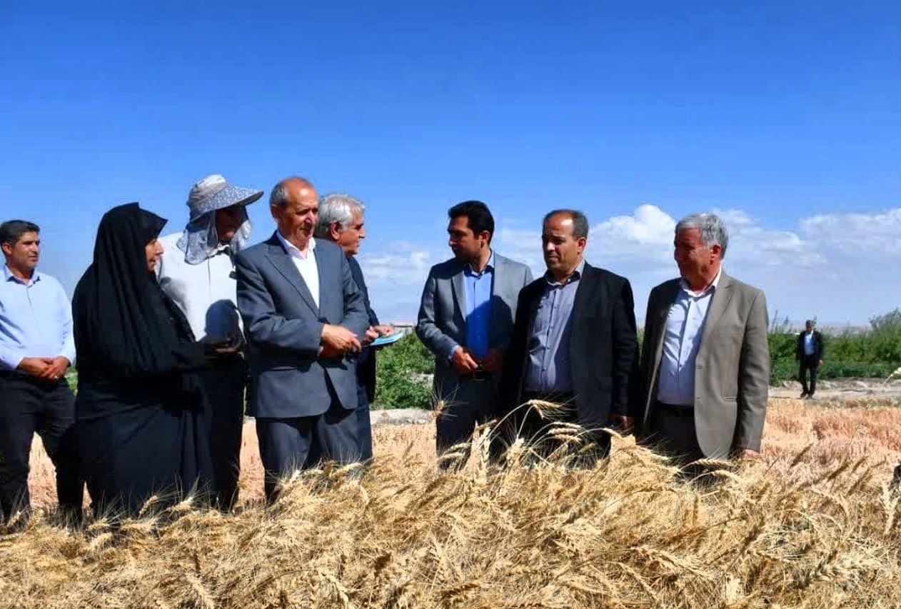 ارتقای بهره‌وری و حمایت از کشاورزان اولویت سال زراعی آینده است