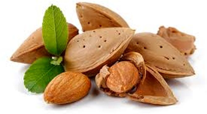 بادام سامان، محصولی با شهرت جهانی