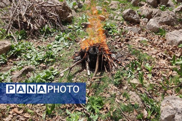 رویداد آیین باستانی سیزده بدر نیشابور در روز طبیعت از  قاب خبرنگاران پانا