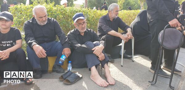 آرام جانم می رود