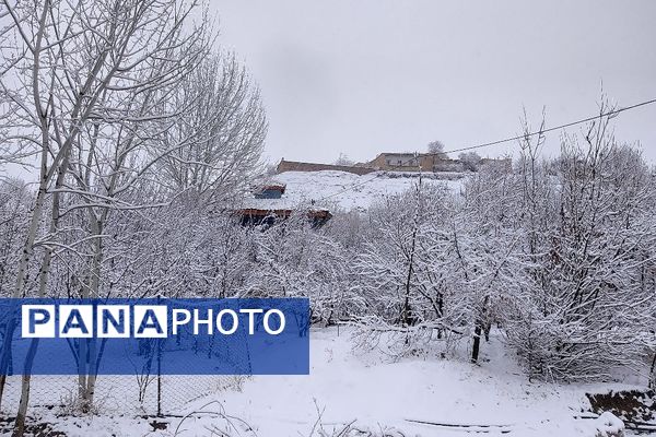 آسمان سخاوتمندانه نعمتش را در ماه شعبان به زمین شهر بار هدیه کرد