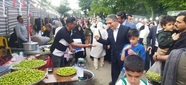 چهارمین جشنواره آلوچه در شهرستان صومعه‌سرا