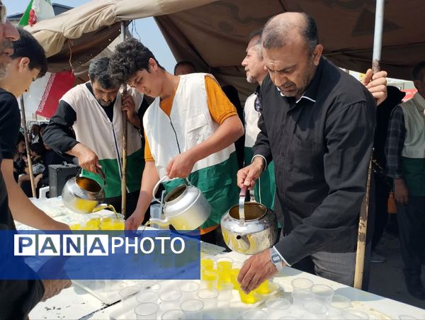 برپایی موکب امام رضا(ع) در میاندورود 