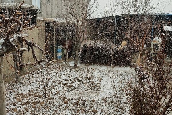 شروع اولین بارش برف زمستانی در بهمن ماه ۱۴۰۳ در شهر زیبای با‌ر