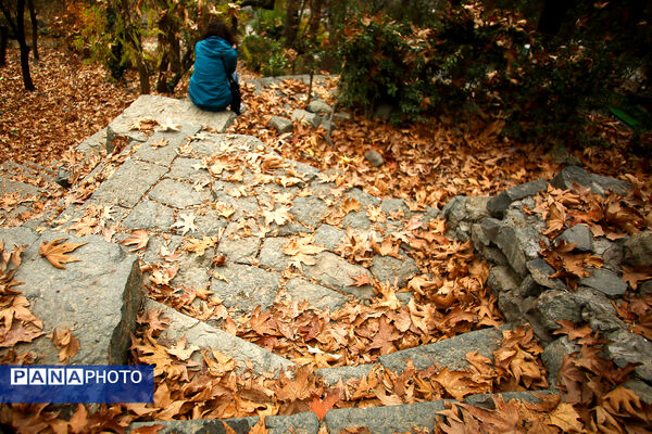 پاییز خیال انگیز در پارک جمشیدیه
