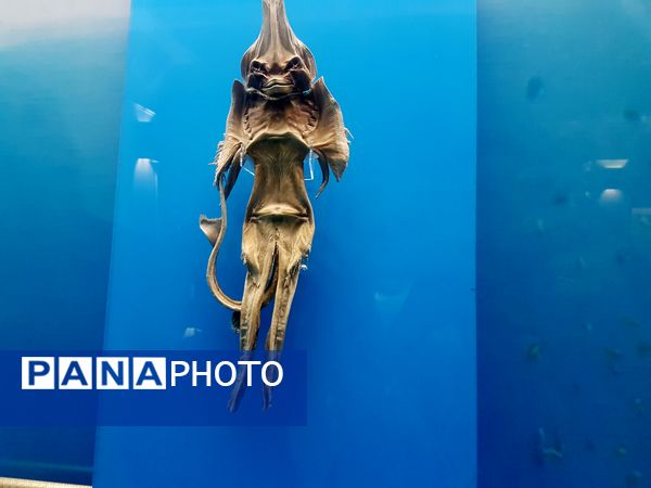 موزه آستان قدس رضوی 