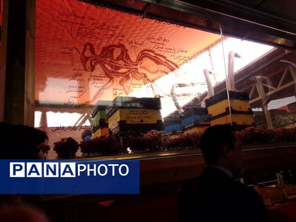 اردوی علمی‌تفریحی دانش‌آموزان دبیرستان میعاد قم در شهر کهک