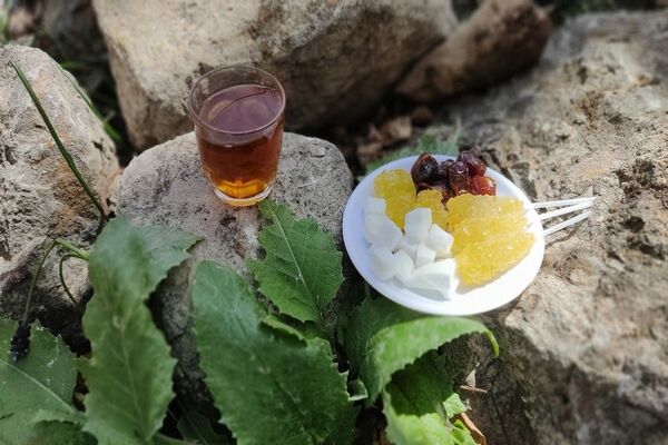 رویداد آیین باستانی سیزده بدر نیشابور در روز طبیعت از  قاب خبرنگاران پانا