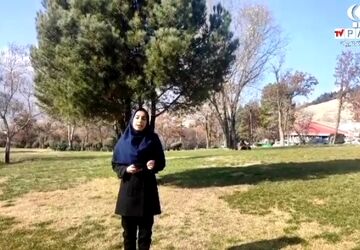گرامیداشت روز قدردانی از دستان پینه‌بسته پدران در خرم‌آباد