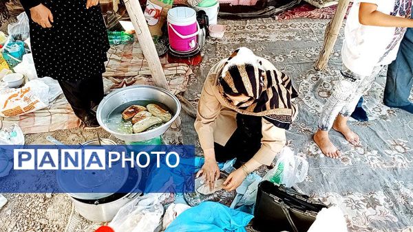 جشنواره شیره انگور ترشیزی کهن