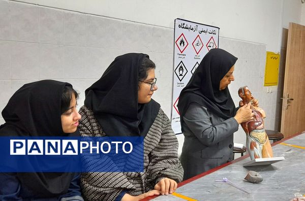 کارگاه تشریح قلب و آناتومی بدن انسان