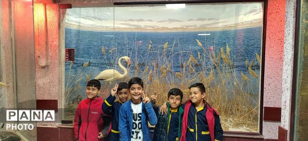 سفر علمی دانش‌آموزان سرخسی به قلب محیط‌زیست
