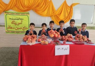 جشن انار امروز در آموزشگاه حاج حسین دهقانی میبد برگزار شد