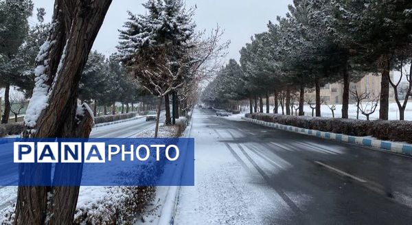 بارش برف در استان البرز 