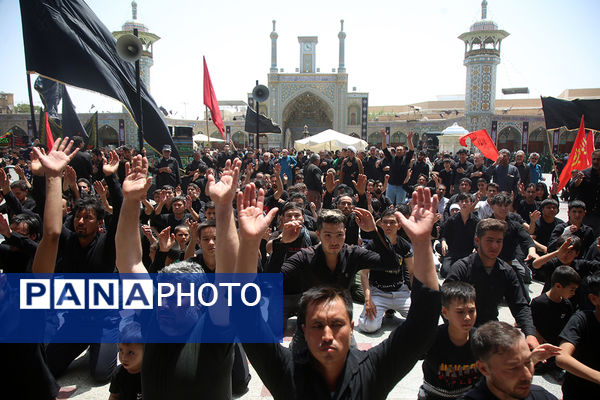عزاداری تاسوعای حسینی(ع) در حرم حضرت معصومه(س)