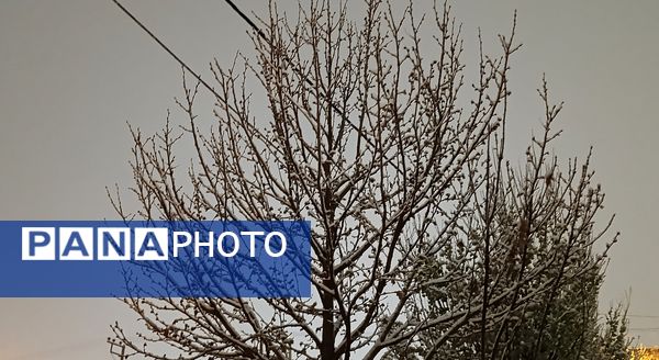 رحمت الهی برف بهاری بر دیار سلسله الذهب