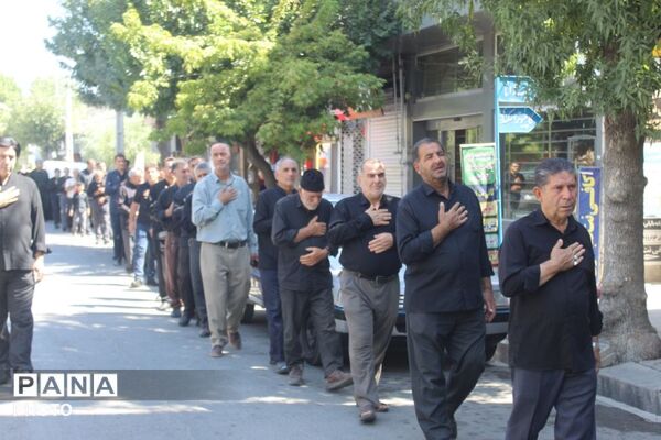 جاماندگان اربعین در ملکان؛ هم‌قدمی با کاروان عشق حسینی