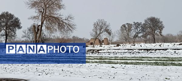 بارش دل‌انگیز برف‌ در اولین روزهای بهمن ماه