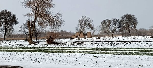 بارش دل‌انگیز برف‌ در اولین روزهای بهمن ماه