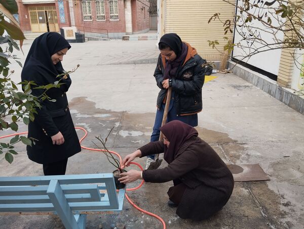 کاشت درخت در هنرستان بصیرت آشخانه