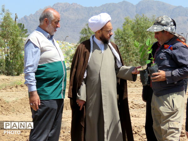 آیین "درخت سرو ایران" در شهرستان خلیل آباد 