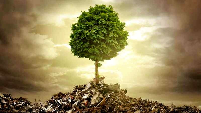 محیط زیست قربانی بی‌توجهی عمومی است