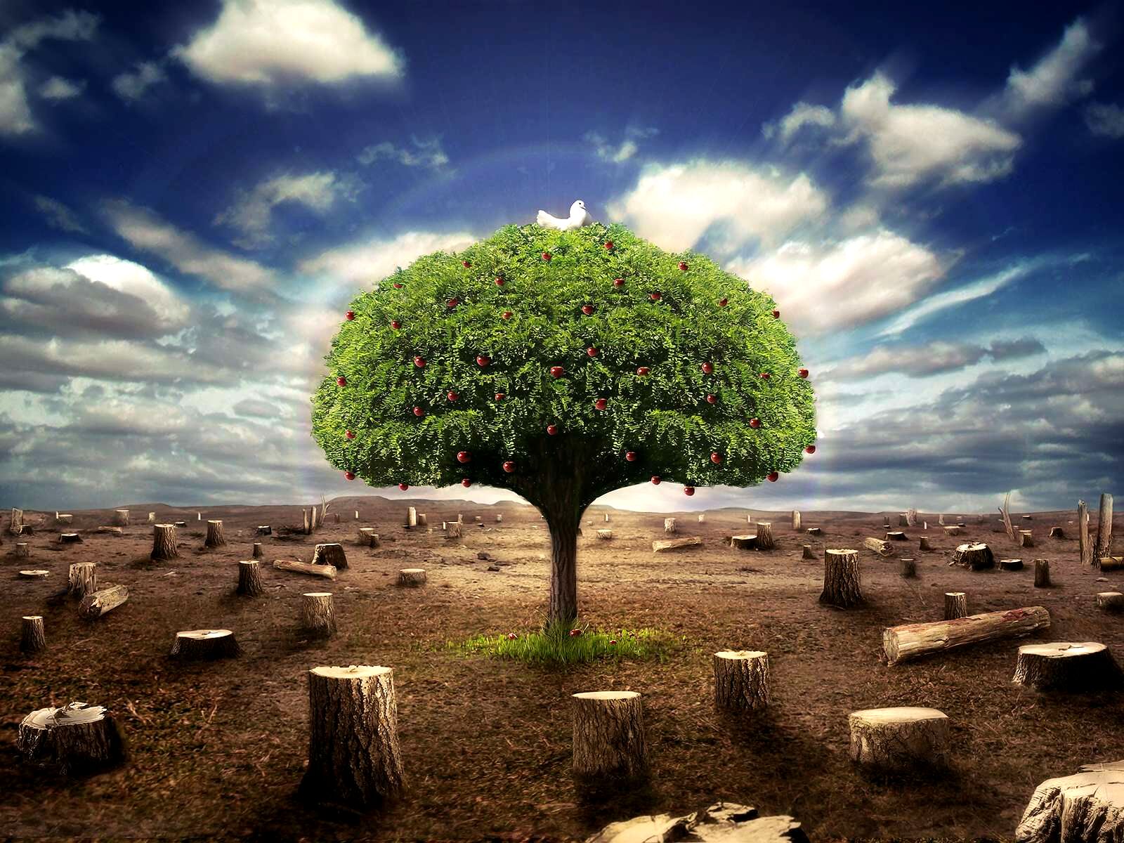 تبر انسان،زخمی عمیق بر تن زمین 