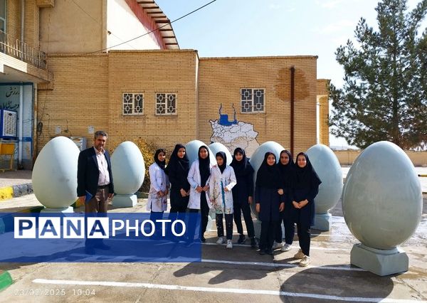 تخم‌مرغ‌های رنگی به پیشواز بهار رفتند