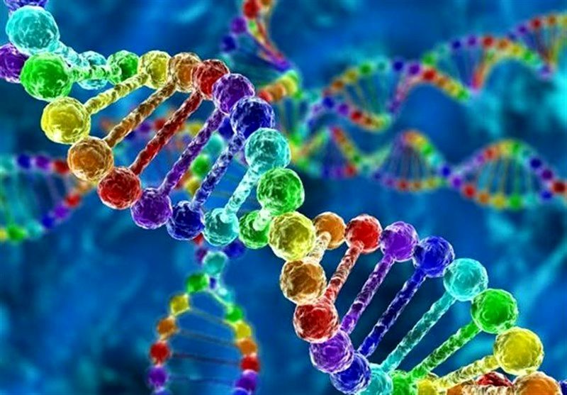  پشتکار لازمه هر هدفی است