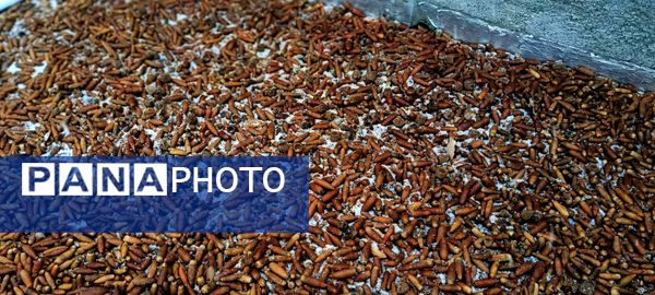 بارش برف در میانکوه