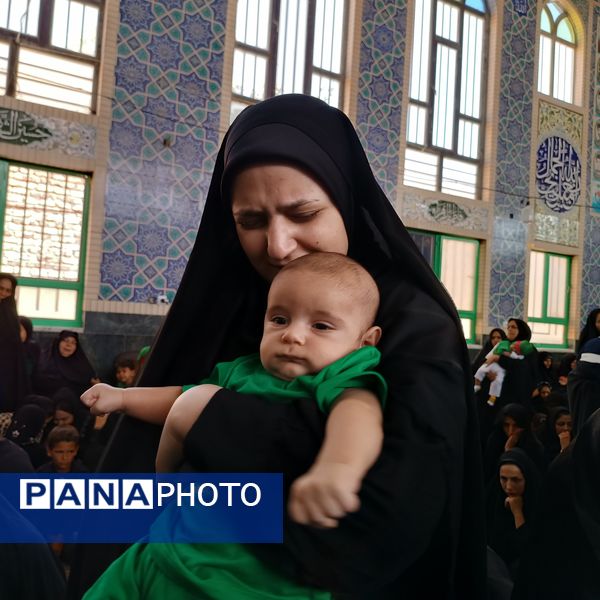 برگزاری همایش شیرخوارگان حسینی در سربیشه