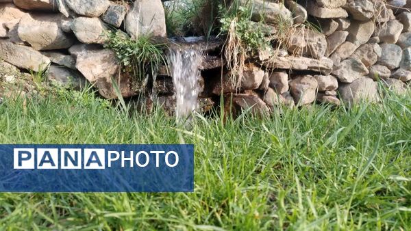 منظره زیبای بهاری در سربیشه