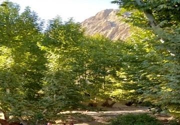 باغ بسیج فیروزآباد 