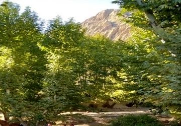 باغ بسیج فیروزآباد 