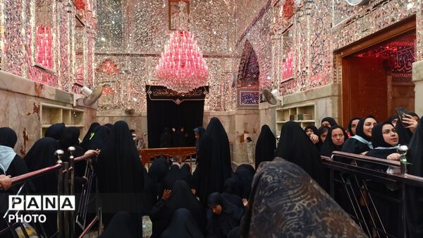 نجف، مقصد دل‌های عاشق؛ زائران در جستجوی آرامش امام علی (ع)